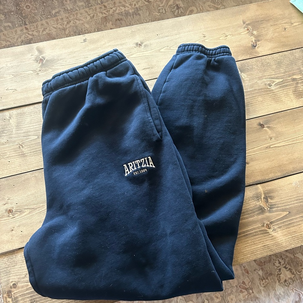 Aritzia Navy Joggers